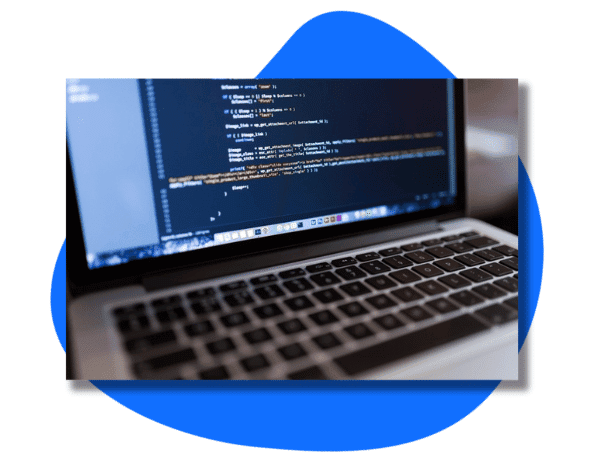 Padding in Web Design Importance